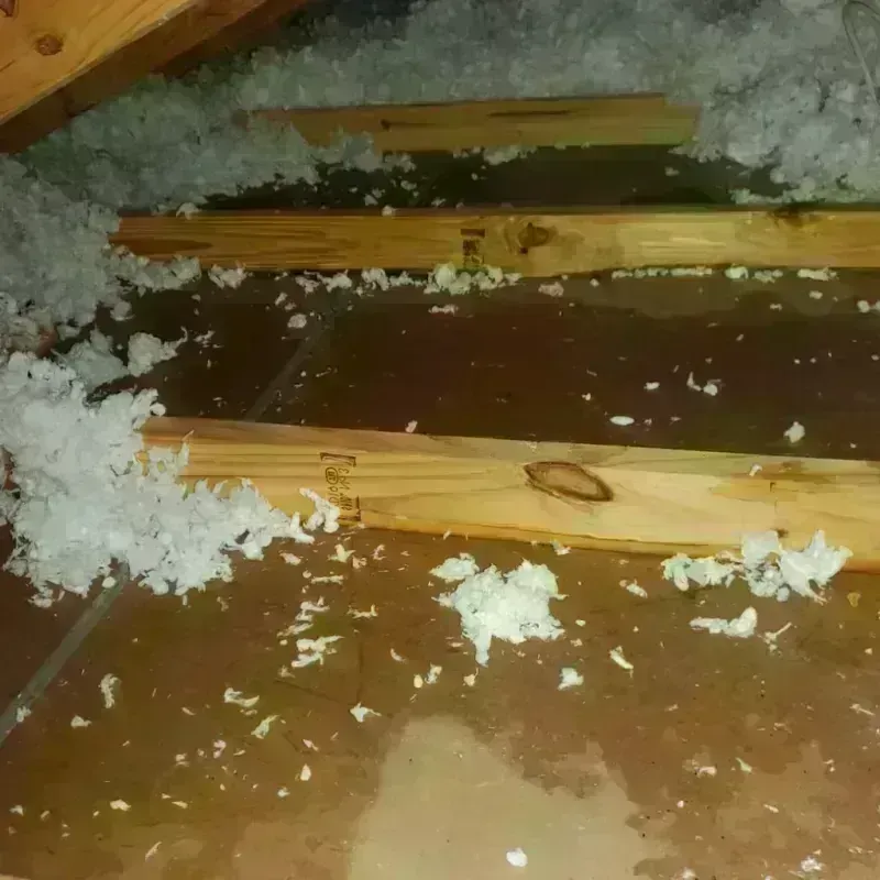 Attic Water Damage in Franklin, PA