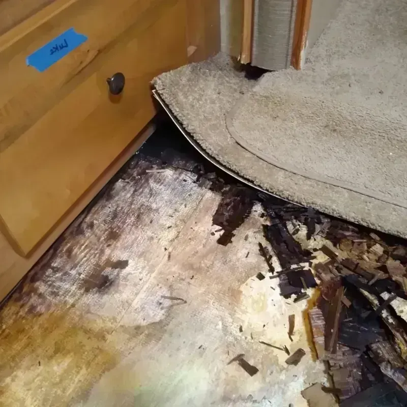 Wood Floor Water Damage in Franklin, PA